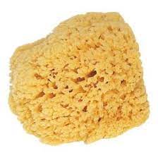 Storch Naturschwamm 10-15cm