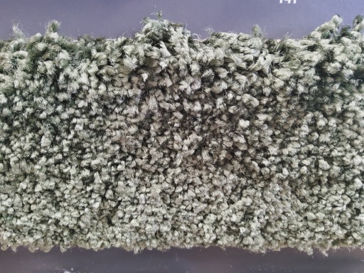 JOKA Teppichboden RIGOLETTO 500cm Farbe 68 x 500,0 (Kopie)